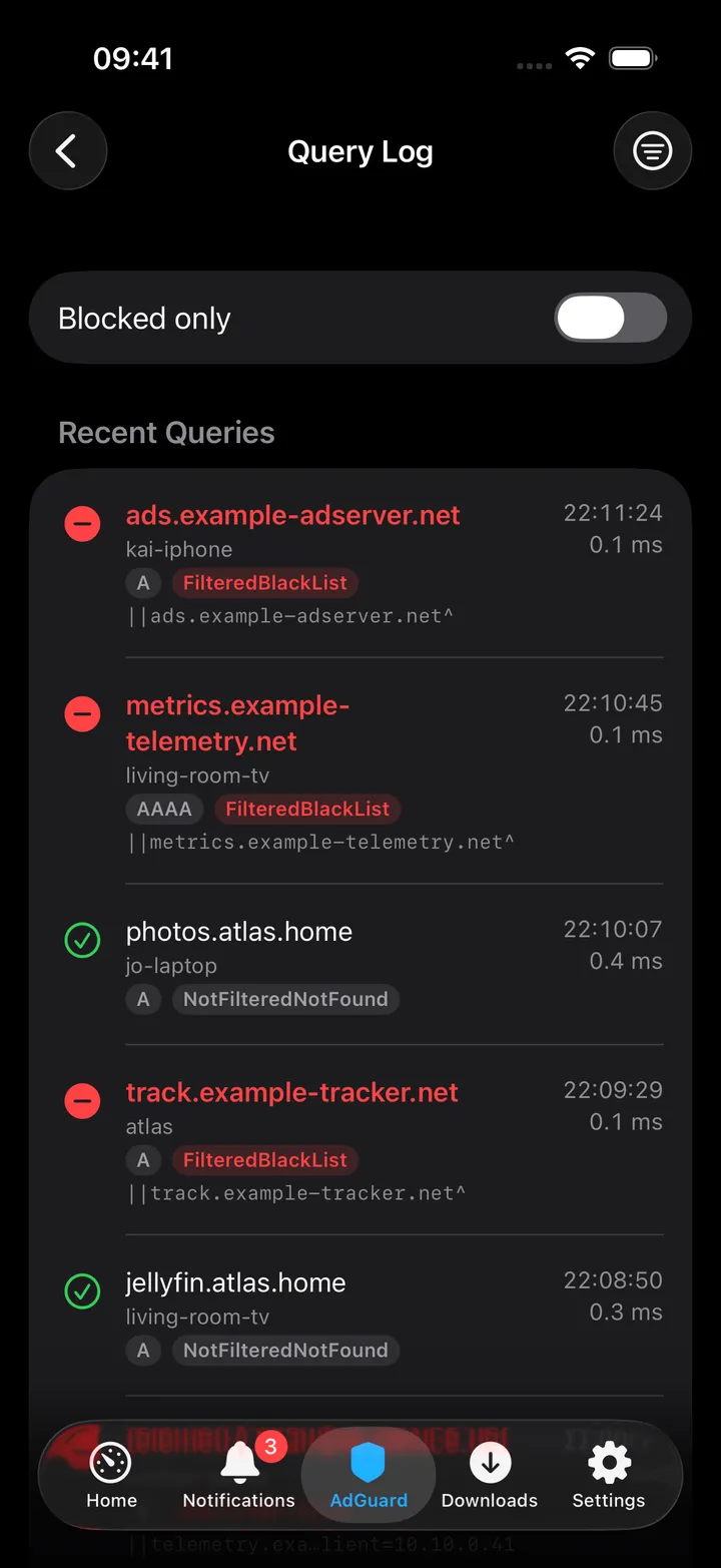 Query Log with the Blocked only filter on.