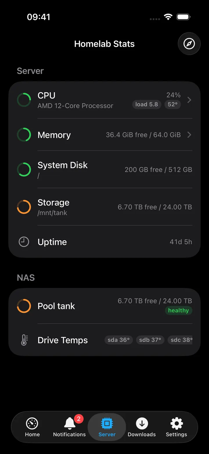 Home Server card and the Homelab Stats screen.