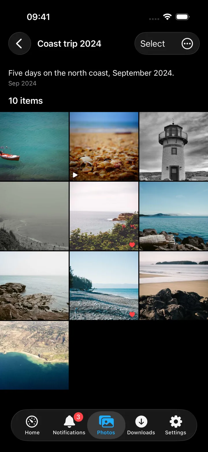 An Immich album grid with thumbnails and item count