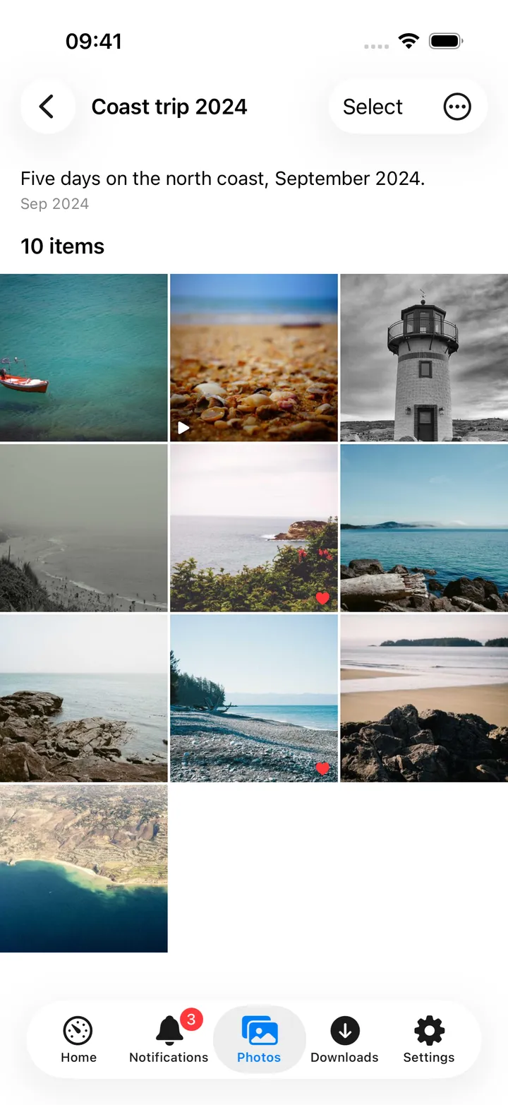 An Immich album grid with thumbnails and item count