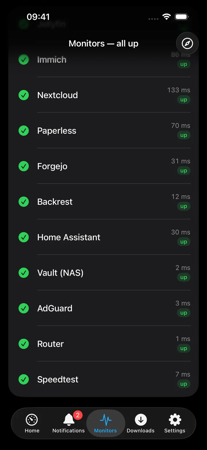 A single monitor's status, response time and uptime.