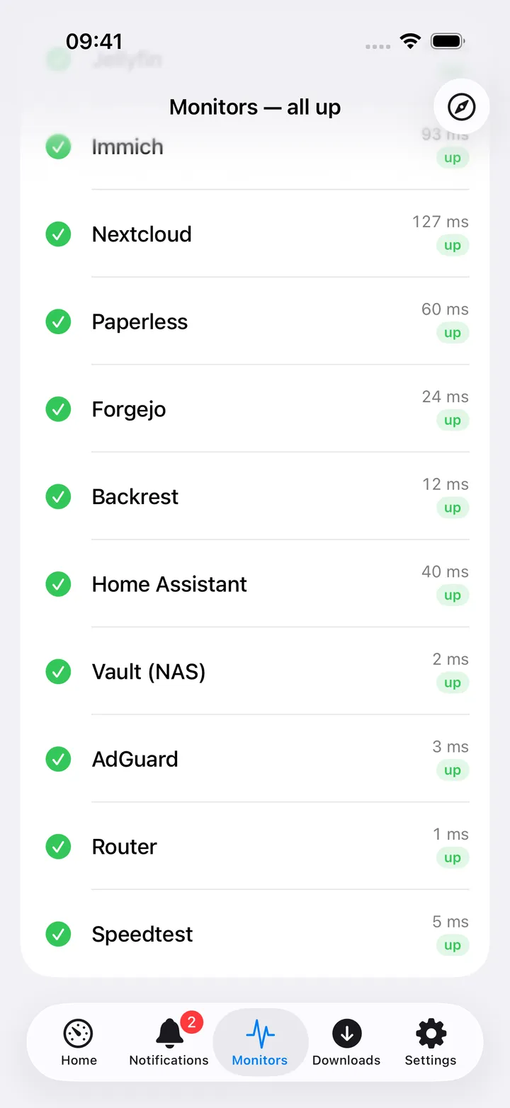 A single monitor's status, response time and uptime.