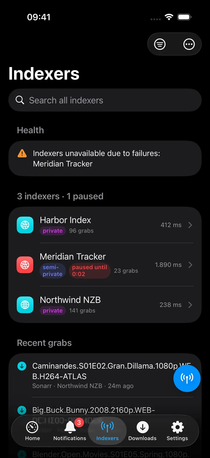 Indexers hub with health, indexer list and recent grabs