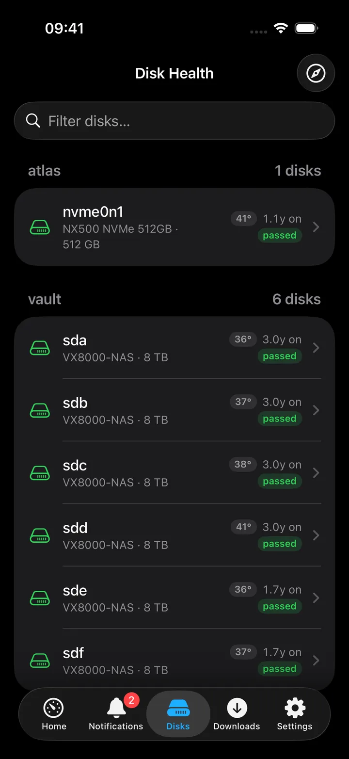 Disk Health screen, grouped by host, with temperature and age tags.