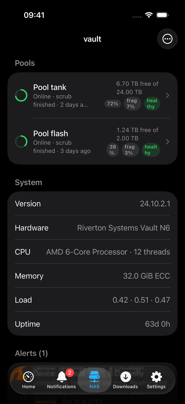 NAS screen: pools, system info, alerts, datasets and disks.