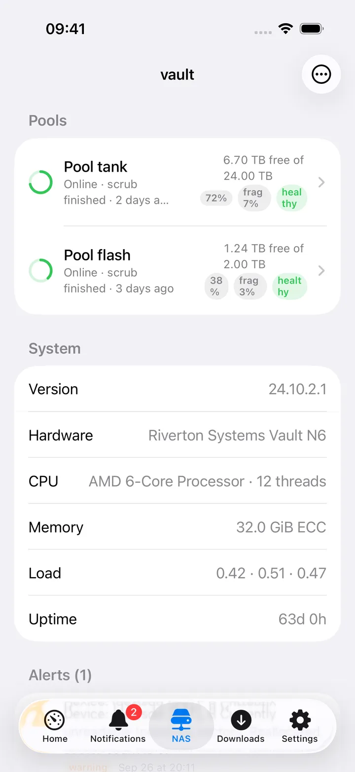 NAS screen: pools, system info, alerts, datasets and disks.